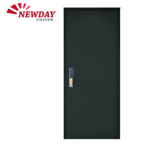 Cửa thép vân gỗ HS-D244-WOOD CRACK 5 HS D244 TRAPEZOID