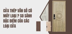 Cửa thép vân gỗ